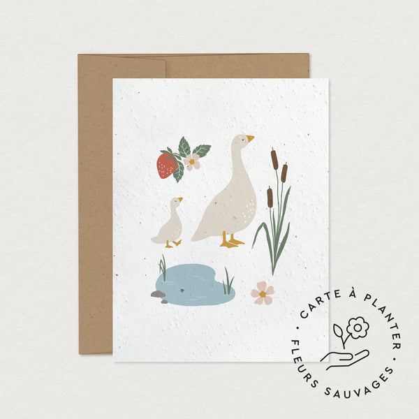 Carte ensemencée - Suzel à la campagne