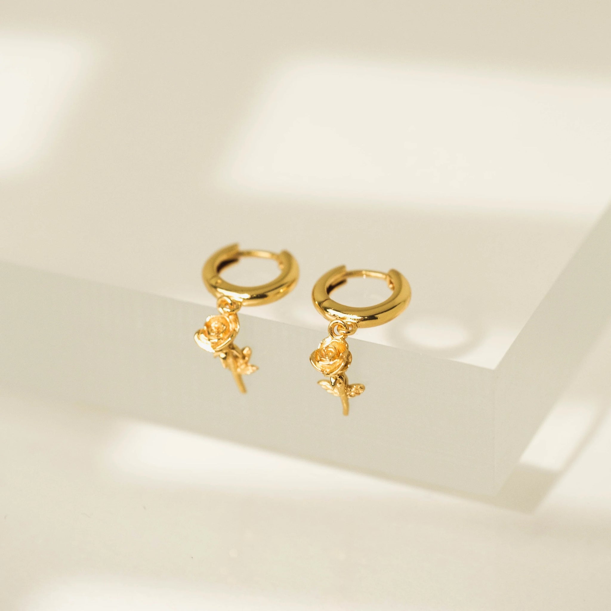 Boucles d'oreilles - Anneaux Roses