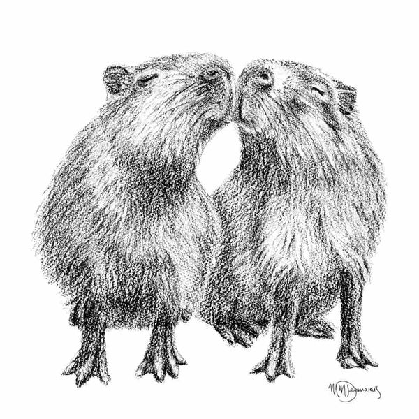 Carte - Capybaras