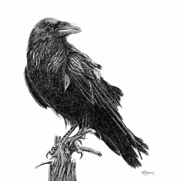 Carte - Corbeau