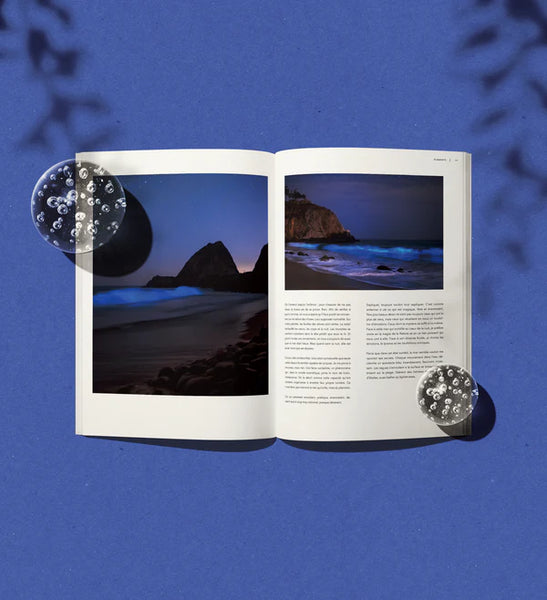 Magazine - Dinette 025