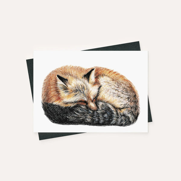 Carte - Renard couché couleur