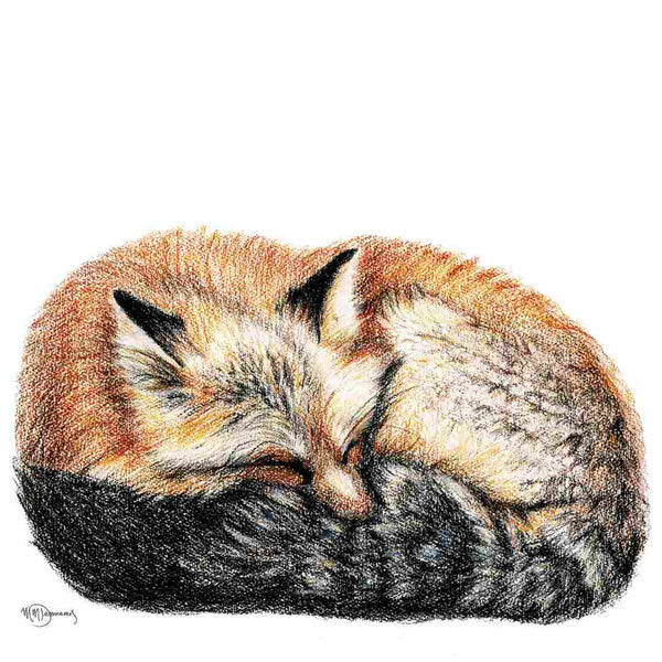 Carte - Renard couché couleur