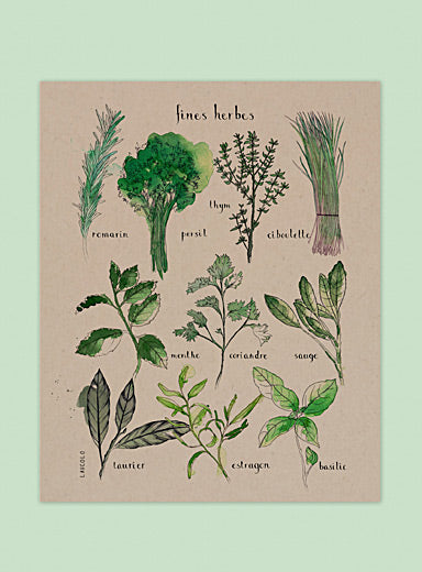 Affiche - Fines herbes