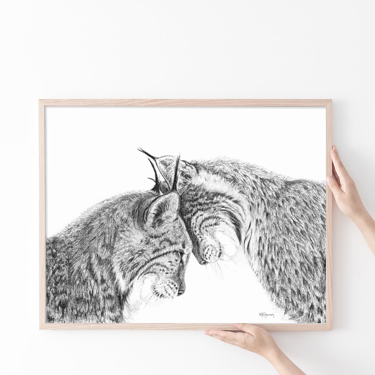 Affiche - Lynx