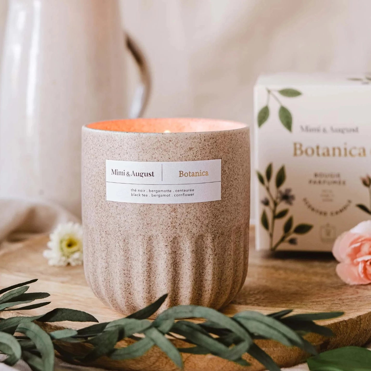 Chandelle de soya - Botanica
